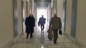 Ama on the Hill 2